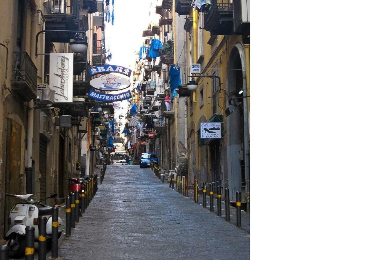 Casa Luma